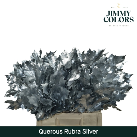 <h4>Quercus Rubra L60 Mtlc. Zilver</h4>