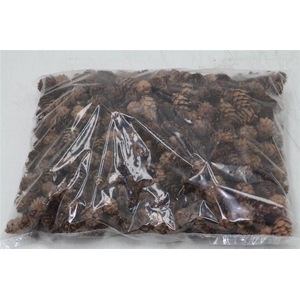 Dennenappel Mini 1kg