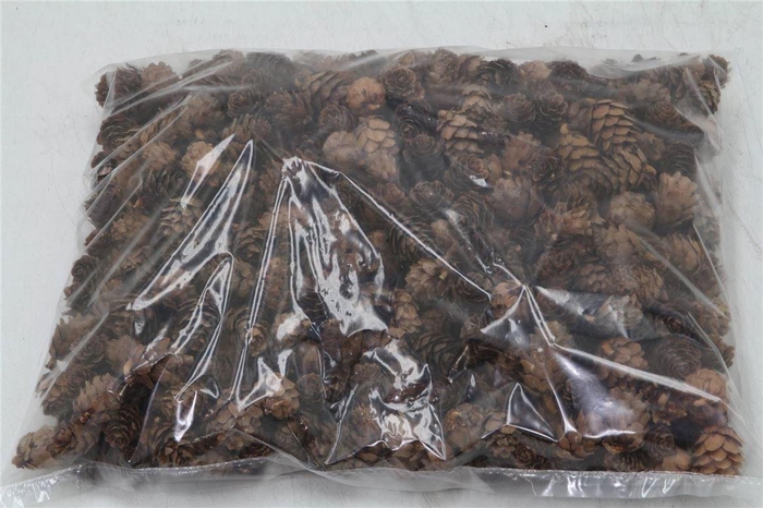 <h4>Dennenappel Mini 1kg</h4>