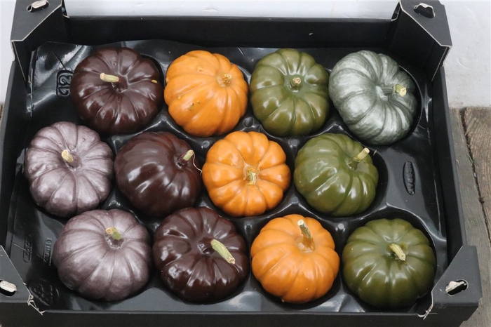 Wax Baby Boo Autumn Mix X10