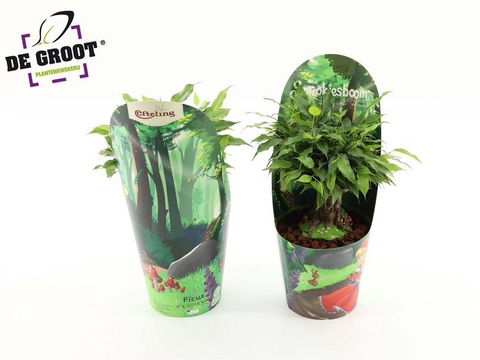 <h4>Sprookjesboom Fairy Tail Tree</h4>