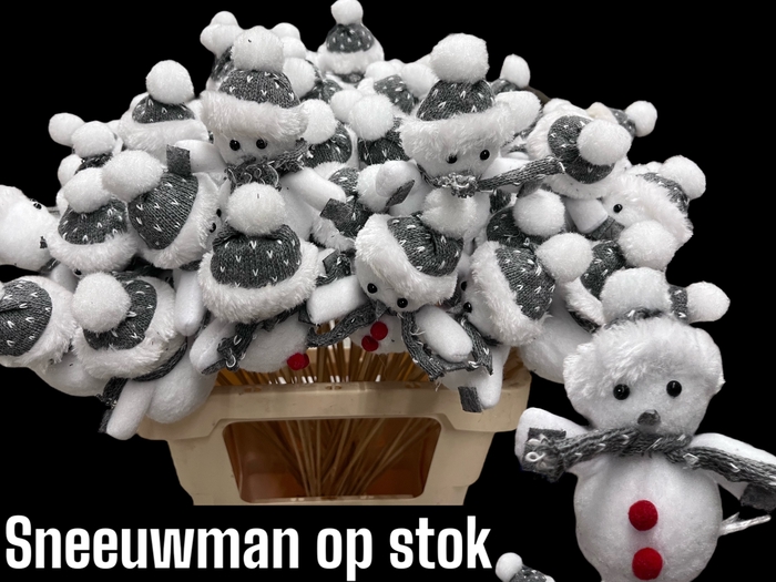 <h4>HUIS EN TUINDECO H%</h4>
