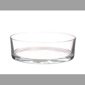 DF01-882645400 - Bowl Denta d25xh8 clear