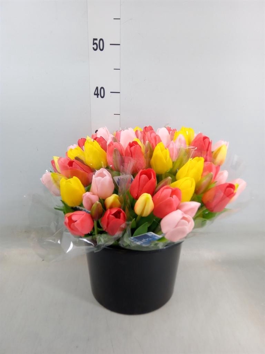 Decoratie  ..Kunstbloem H%