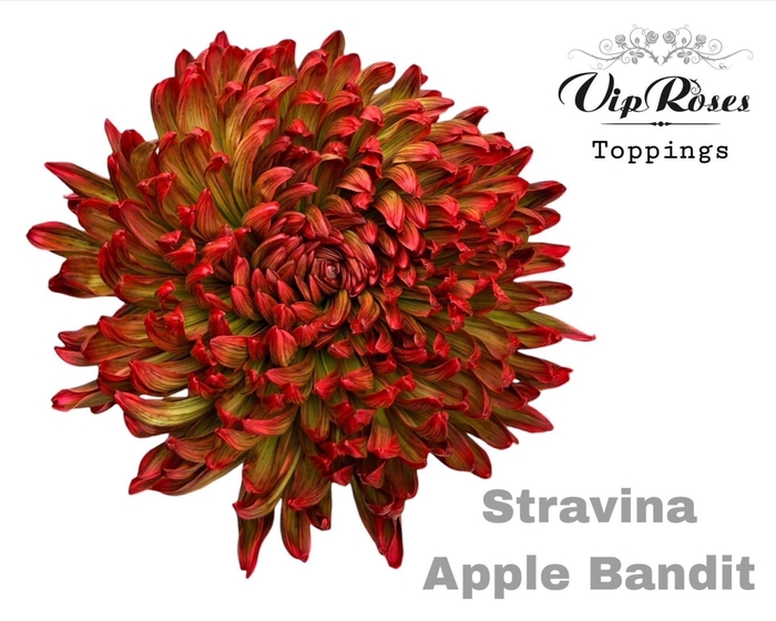 <h4>CHR G STRAVINA Paint APPLE BANDIT</h4>