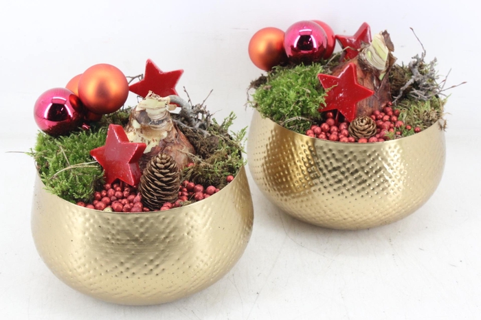 <h4>arr4 Amaryllis MB - Zink bowl goud 285/6</h4>