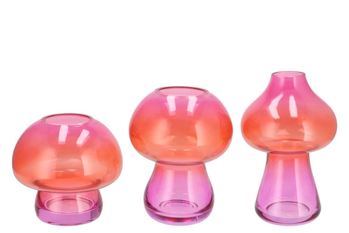 Nova Fuchsia Vase Mushroom Narrow Tricolor 13x13x2