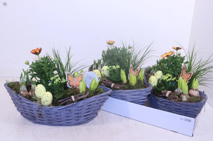 <h4>ARR PL IN SCHAAL</h4>