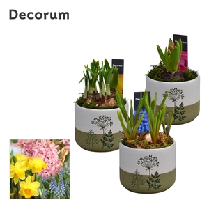 Bollenmix FloraLeaf HL15163B