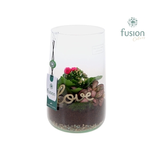 Green Bottle Deline Large Love met arrangement