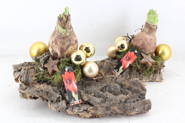 <h4>arr4 Amarayllis MB - Kurk plaat x4 gold</h4>