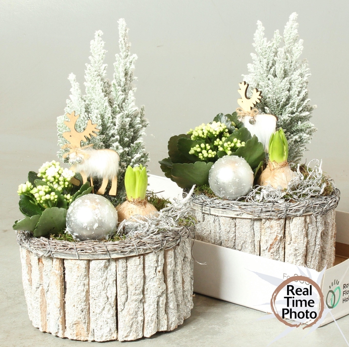 <h4>ARR KAMERPL</h4>