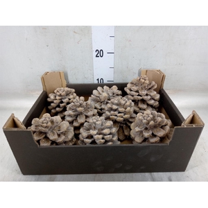 Decoratieve materialen   ...H%