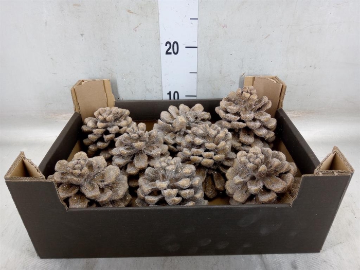 <h4>Decoratieve materialen   ...H%</h4>