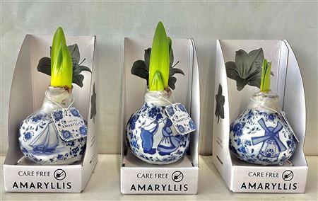 <h4>Hipp Wax Delfts Blauw In Luxe Verpakking</h4>