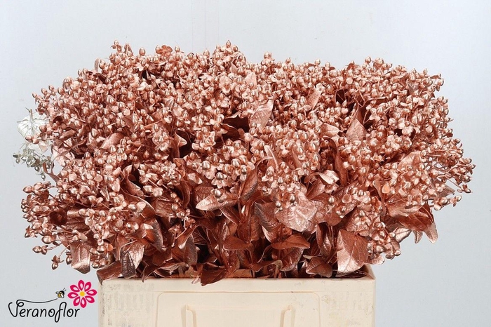 <h4>HYP OV KLB H%</h4>