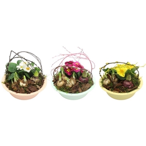 0909 ZINK MINT TUINTJE