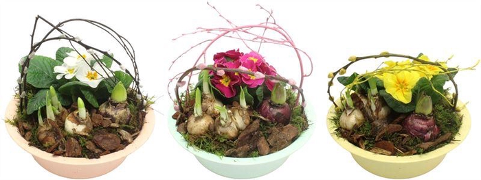 <h4>0909 ZINK MINT TUINTJE</h4>