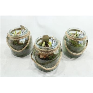 21287 GLAASJE+TOUW TETE