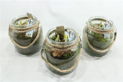 <h4>21287 Glaasje+touw Tete</h4>