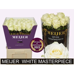 R Gr Avalanche White Masterpiece Meijer Super
