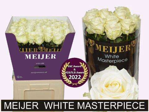 <h4>R Gr Avalanche White Masterpiece Meijer Super</h4>
