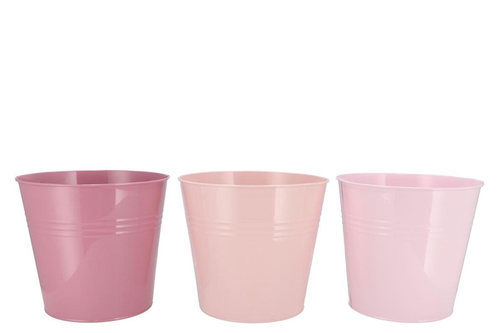 <h4>Zinc Summer Pink Mix Bucket Basic Ass 22x20x16cm</h4>