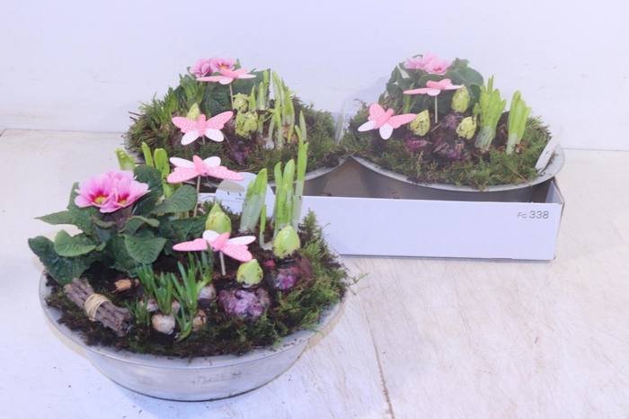 <h4>ARR TUINPLANTEN</h4>