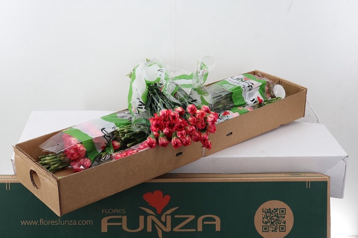 <h4>Di St Spritz Arancio Box</h4>