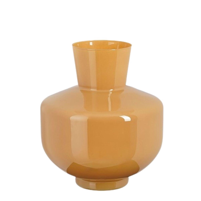 <h4>Glas Vaas Judy d25*29.5cm</h4>
