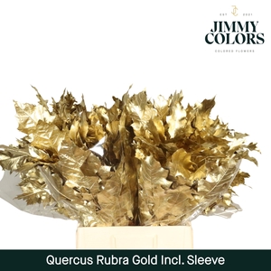 Quercus Rubra sleeve L60 Goud
