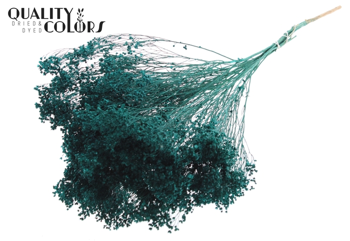 Broom Bloom p/bunch in poly Turquoise