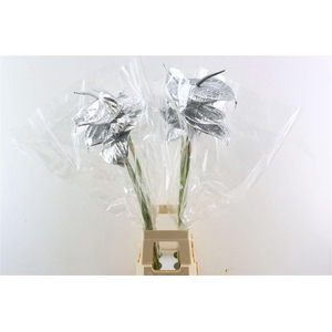 Anth A Ov Klbh Zilver