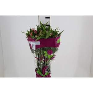 ALSTROEMERIA TOURMALINE 080 CM ROSA