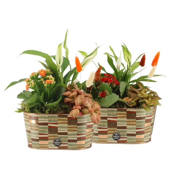 <h4>41578: Treasure time arrangement</h4>