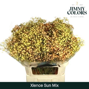 Gyps Xlence L80 Sun Mix