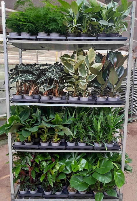 <h4>Mix cc. nr. 27</h4>