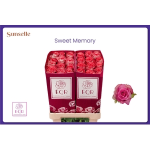 R GR SWEET MEMORY+