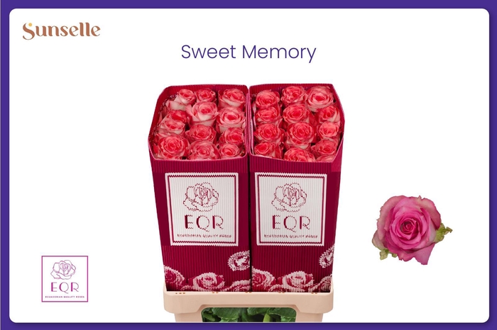 <h4>R GR SWEET MEMORY+</h4>