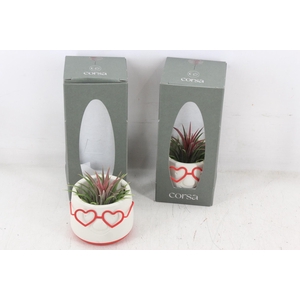 arr3 CP - Love Dude gift pack