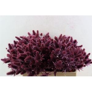 Eryn Kbh Gl Metallic Pink Stem