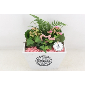arr2 PL - Hout 4kant pot los roze bird