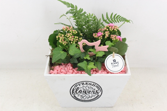 <h4>arr2 PL - Hout 4kant pot los roze bird</h4>