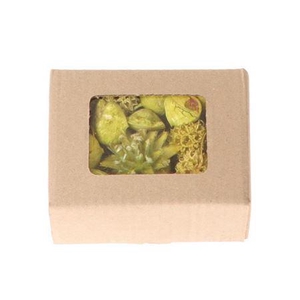 Box Exotic Ass Loose L14