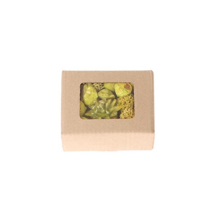 <h4>Box Exotic Ass Loose L14</h4>