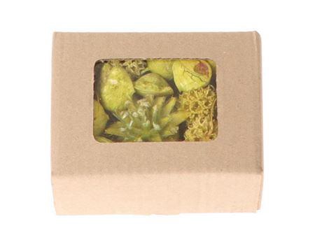 Box Exotic Ass Loose L14