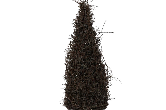 <h4>Deco Cone Bonsai H165 Naturel</h4>