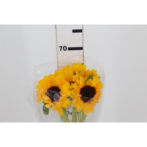 GIRASSOL 060 CM