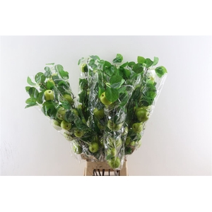 Artificial Apple Granny L95w15h14 Apple Green