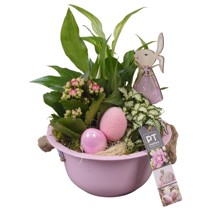 <h4>6411 ZINK ROZE IND</h4>